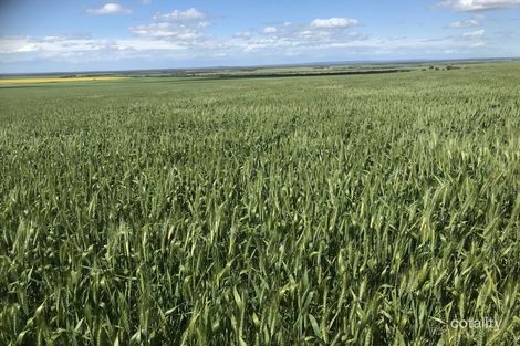 1488 Tooligie Hill Rd, Tooligie, SA 5607