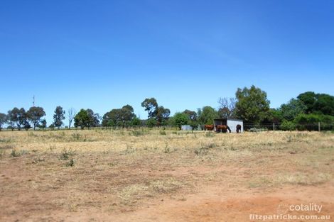 Property photo of 19 Henschke Avenue San Isidore NSW 2650