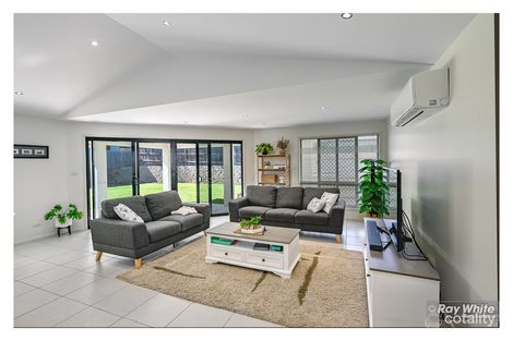 12 Treefern Tce, Frenchville, QLD 4701