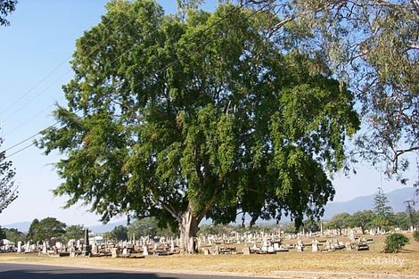 113-171 Upper Dawson Rd, Allenstown, QLD 4700