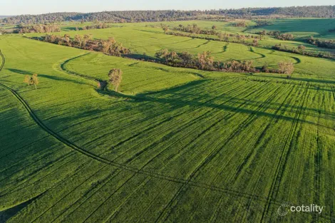 578 Innesvale Rd, Warialda, NSW 2402