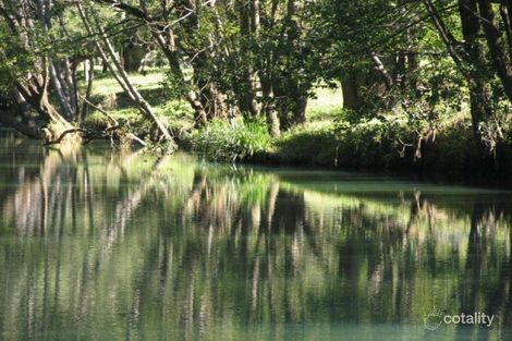 Property photo of 320 Chilcotts Road Chillingham NSW 2484