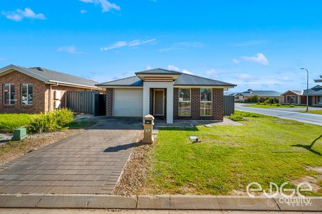 Property photo of 51 Cassia Street Munno Para West SA 5115