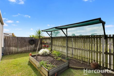 Property photo of 3 Gallery Court Kawungan QLD 4655