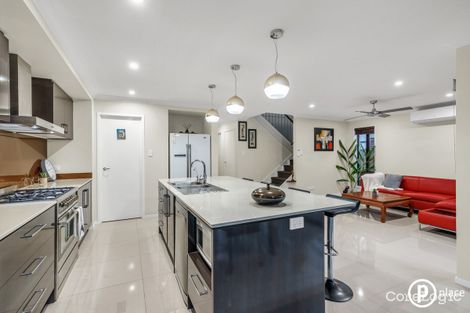 Property photo of 49 Kate Circuit Rochedale QLD 4123