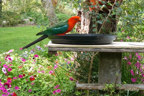 Property photo of 6 Parkview Ridge Imbil QLD 4570