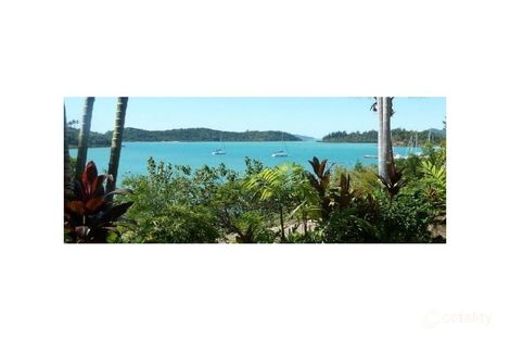 Property photo of 12 Bay Terrace Shute Harbour QLD 4802