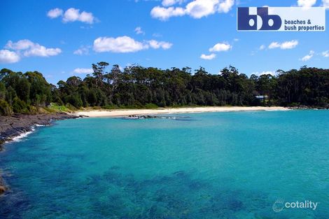 5 Aldinga Ave, Bawley Point, NSW 2539