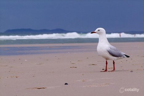 Property photo of 1 The Esplanade New Brighton NSW 2483