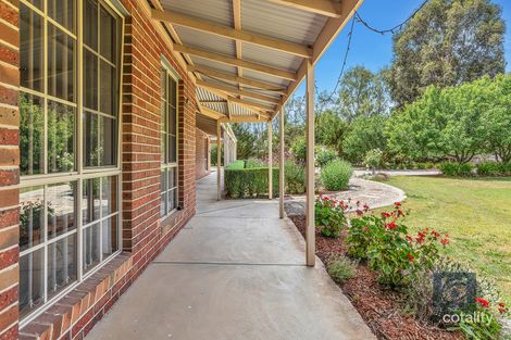 Property photo of 19 Baldwin Court Echuca VIC 3564