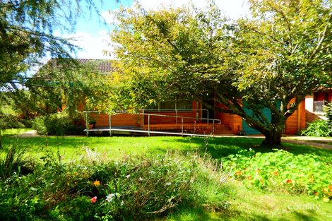 Property photo of 22 Kurrajong Street Dorrigo NSW 2453
