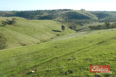 Lot 39 Riggs Rd, Bibaringa, SA 5118