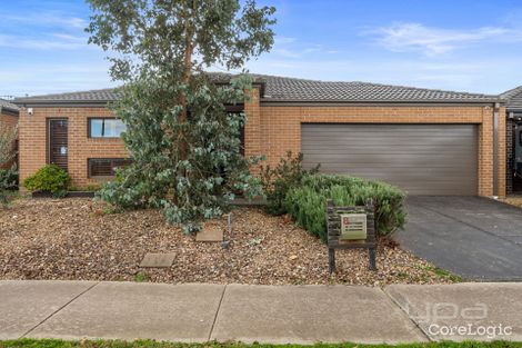 Property photo of 8 Triandra Drive Brookfield VIC 3338