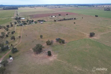 120 Pouts Rd, Forbes, NSW 2871