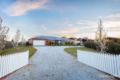 Property photo of 40 Hinchinbrook Court Thurgoona NSW 2640