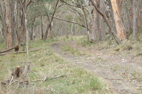 Property photo of 11E Guys Road Raglan VIC 3373