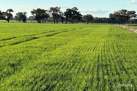 122 Reapers Rd, Culcairn, NSW 2660