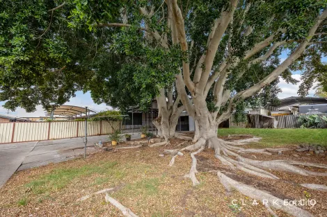 Property photo of 52 Anderson Drive Tarro NSW 2322
