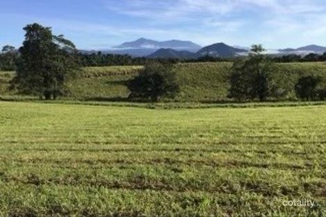 Lot 1/1 Rainforest Falls Rd, Coorumba, QLD 4860