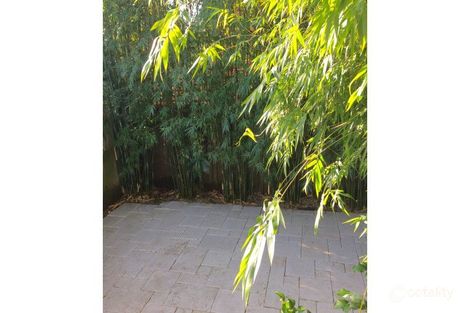 Property photo of 6 Hodgson Street Randwick NSW 2031