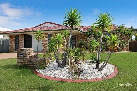 Property photo of 6 Darlington Circuit Currimundi QLD 4551