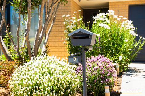 Property photo of 3 Ikara Close Dunlop ACT 2615