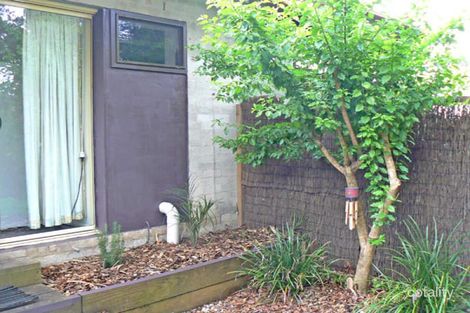 Property photo of 32 Corkwood Crescent Suffolk Park NSW 2481