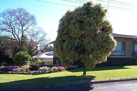 Property photo of 14 Kammann Street Manjimup WA 6258