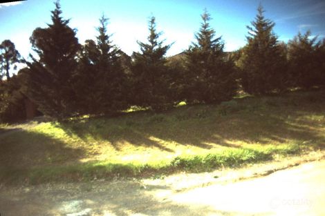 51-55 Thacker St, Ocean Grove, VIC 3226