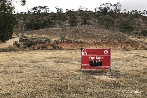 64 Tom Groggin Dr, Younghusband, SA 5238