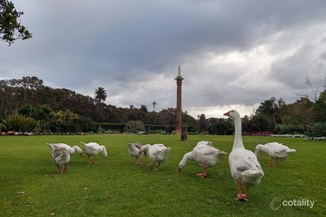 Property photo of 3/1 Thread Lane Waterloo NSW 2017