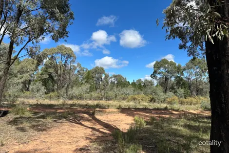 572 Box Ridge Rd, Binnaway, NSW 2395
