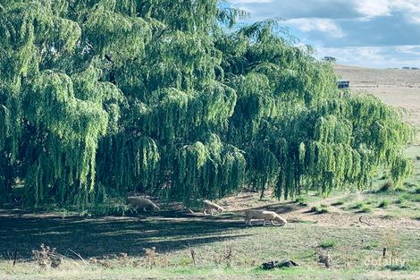 Property photo of 103 Queen Street Binda NSW 2583