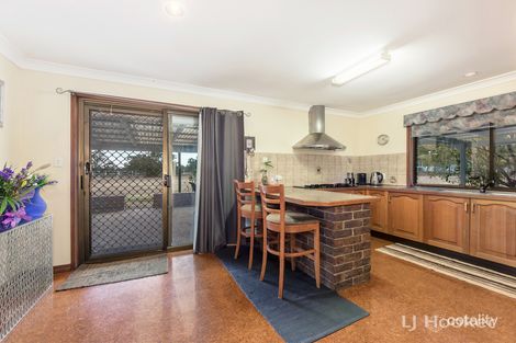 Property photo of 60 Caledonian Road Thagoona QLD 4306