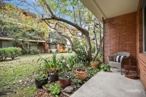 3/58-70 Orpington St, Ashfield, NSW 2131