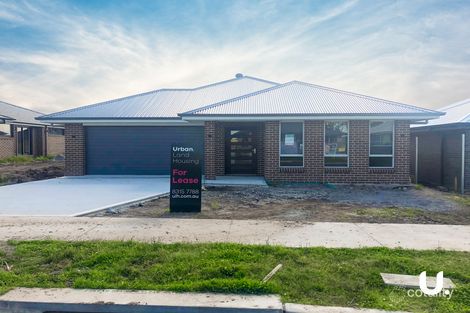 Property photo of 9 Red Baron Road Chisholm NSW 2322