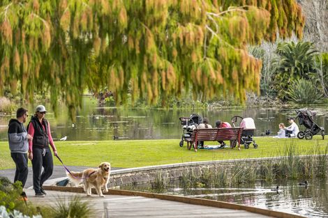 5/222 Walsh St, South Yarra, VIC 3141