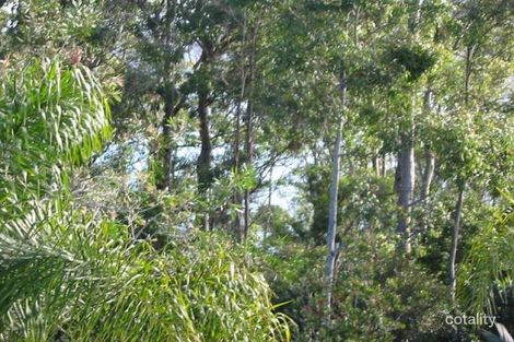 Property photo of 15 Mogareeka Avenue Mogareeka NSW 2550