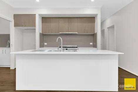 Property photo of 3 Leadbeater Circuit Beveridge VIC 3753