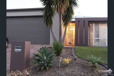 Property photo of 11 Appollo Place Oxenford QLD 4210