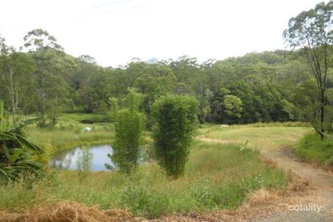 Property photo of 1332 Eumundi Noosa Road Eumundi QLD 4562