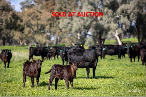 1532 Humula Rd, Tarcutta, NSW 2652