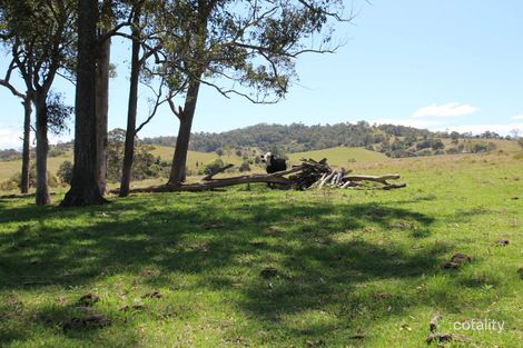 Property photo of 851 Wang Wauk Road Wang Wauk NSW 2423