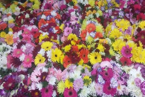 255 Charman Rd, Cheltenham, VIC 3192