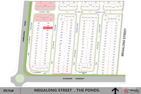 Property photo of 69 Calleja Street The Ponds NSW 2769