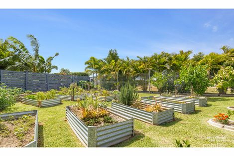 Property photo of 3 Peregrin Court Parkhurst QLD 4702