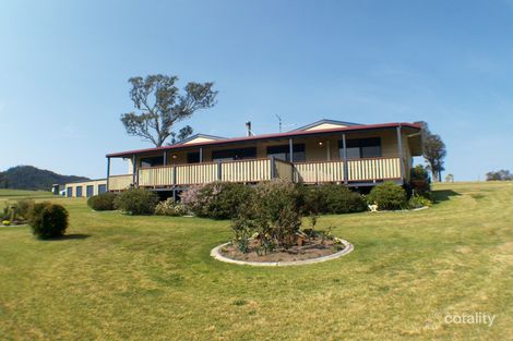 Property photo of 800 Angledale Road Angledale NSW 2550