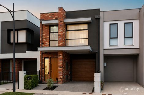 17 Pavy Cl, Lightsview, SA 5085