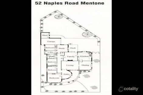 Property photo of 52 Naples Road Mentone VIC 3194