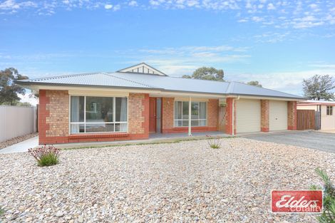 Property photo of 34 Neil Avenue Nuriootpa SA 5355